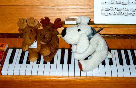 Hundi, Elchi, Jazz